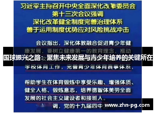 国球振兴之路：聚焦未来发展与青少年培养的关键所在