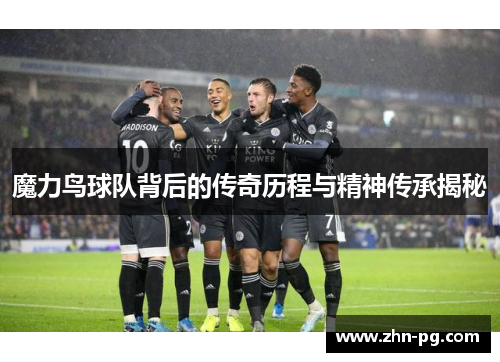 魔力鸟球队背后的传奇历程与精神传承揭秘