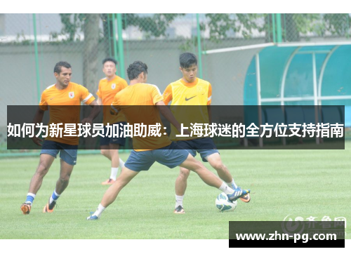 如何为新星球员加油助威：上海球迷的全方位支持指南