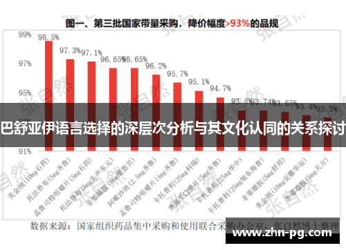 巴舒亚伊语言选择的深层次分析与其文化认同的关系探讨 巴舒亚伊语言选择的深层次分析与其文化认同的关系探讨