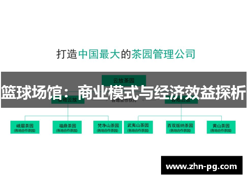 篮球场馆:商业模式与经济效益探析 篮球场馆:商业模式与经济效益探析