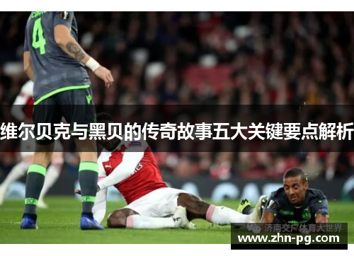 维尔贝克与黑贝的传奇故事五大关键要点解析