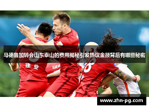 马德鲁加转会山东泰山的费用揭秘引发热议金额背后有哪些秘密