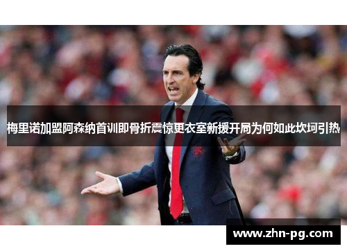 梅里诺加盟阿森纳首训即骨折震惊更衣室新援开局为何如此坎坷引热