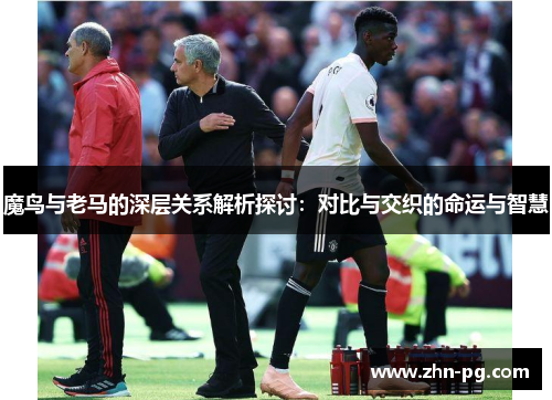 魔鸟与老马的深层关系解析探讨：对比与交织的命运与智慧